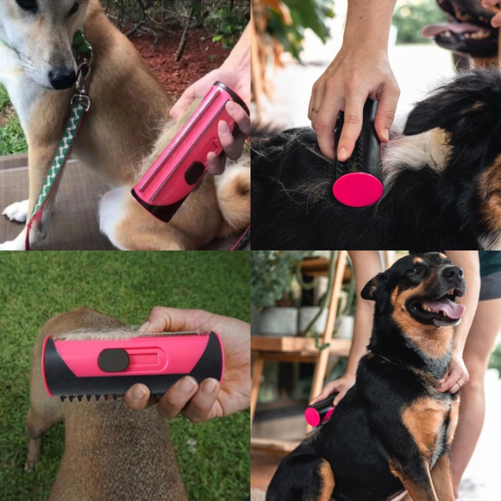 Brosse pour chien - BRUSHDOG™ –